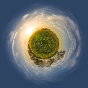 ECOBIRD ABOUT US